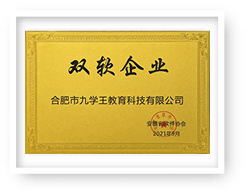 合肥市双软企业